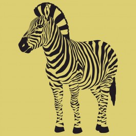 Zebra falmatrica