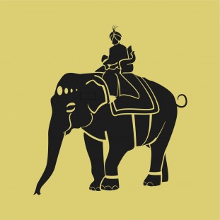 Elefánt maharadzsával