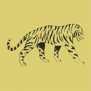 Sétáló tigris