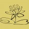 Lotusz virág falmatrica